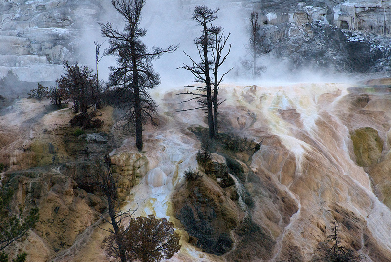 Landscape04.jpg