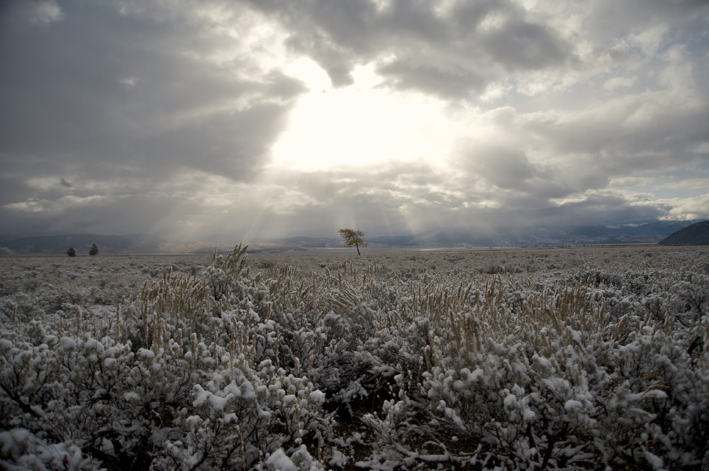 Landscape14.jpg